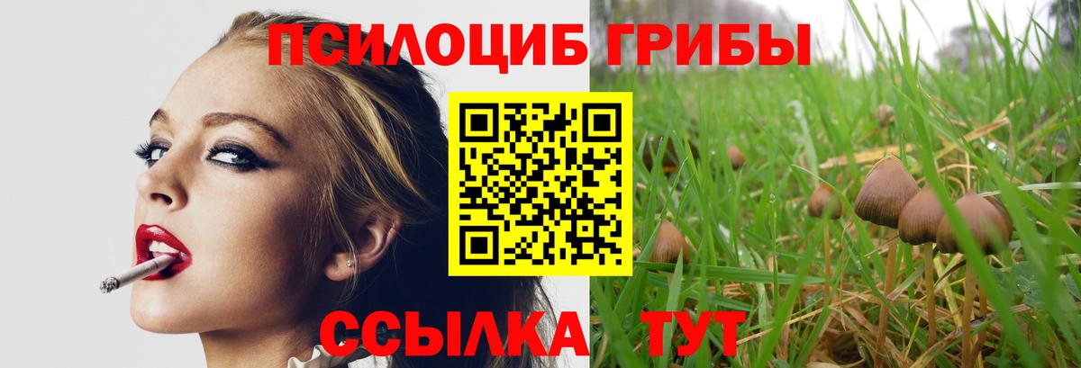 Киров  Галлюциногенные грибы MAGIC MUSHROOMS  Вход с VPN 